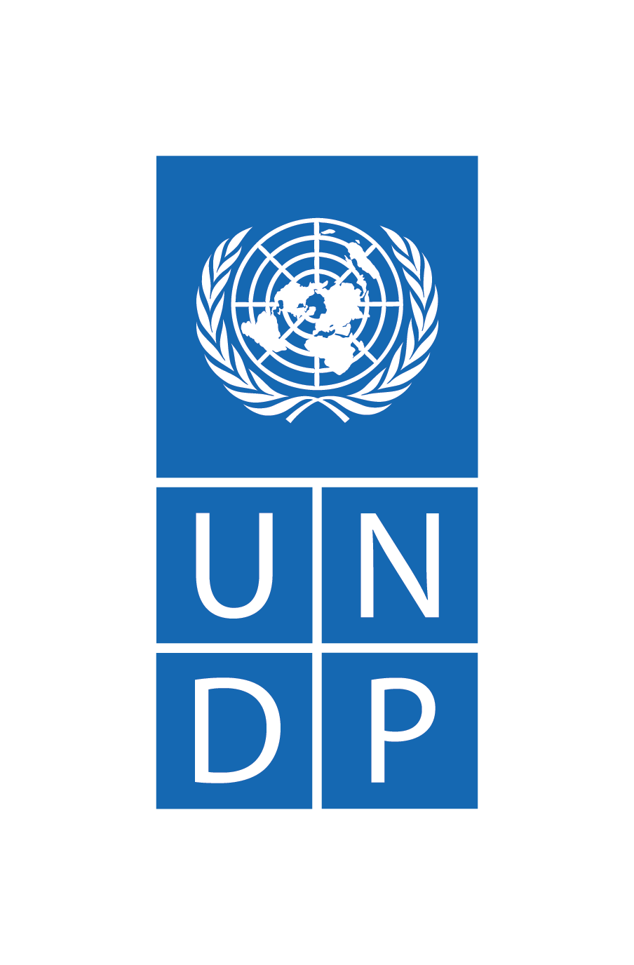 UNDP Website